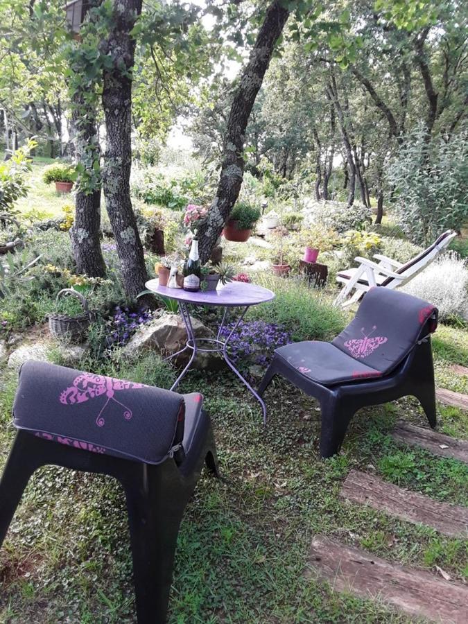 Apartments Bijou With Big Private Garden Near Umag Vilanija Exterior photo